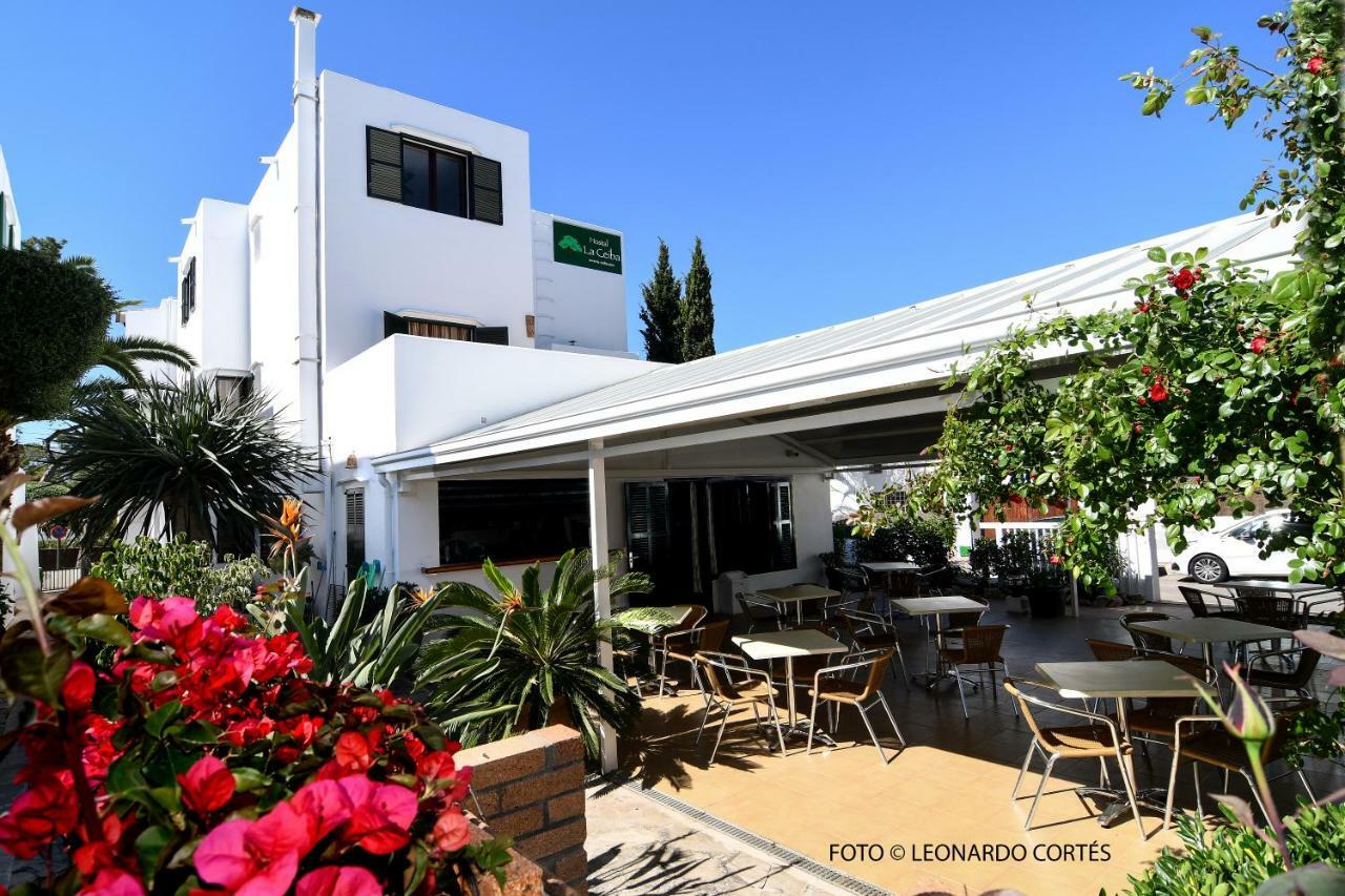 Hostal La Ceiba Cala D´Or Exterior foto